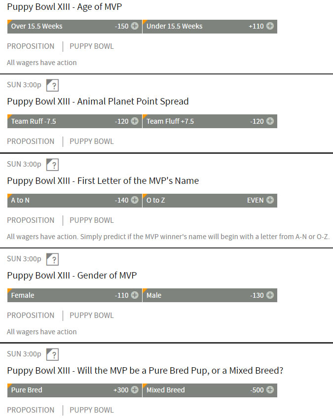 Puppy Bowl Betting Odds